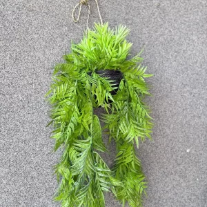 Hanging Pot Planter with Black Pot