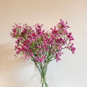 PEONY – Pink Baby Breath Flowers